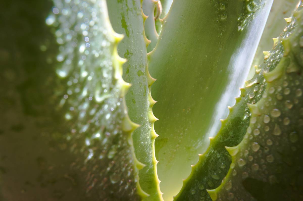 Can You Safely Use Both Physical and Chemical Exfoliants? A Derm-Backed Guide